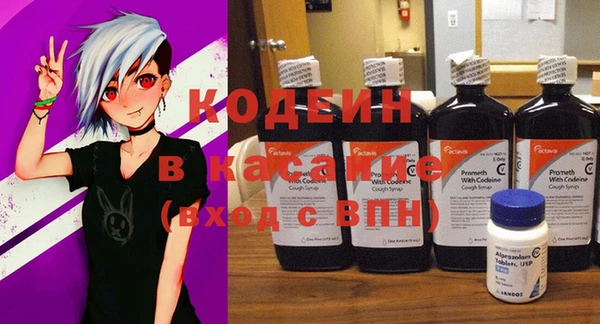 шишки Алексин